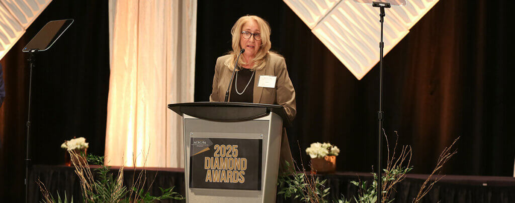 Janet B. Cunningham PE Distinguished Award of Merit